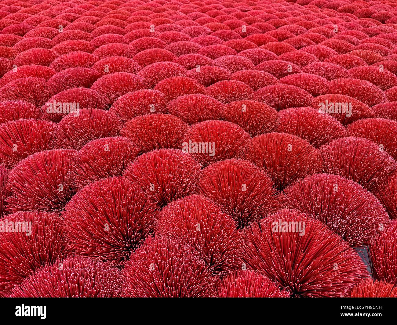 Pacchetti di bastoncini Incense Foto Stock