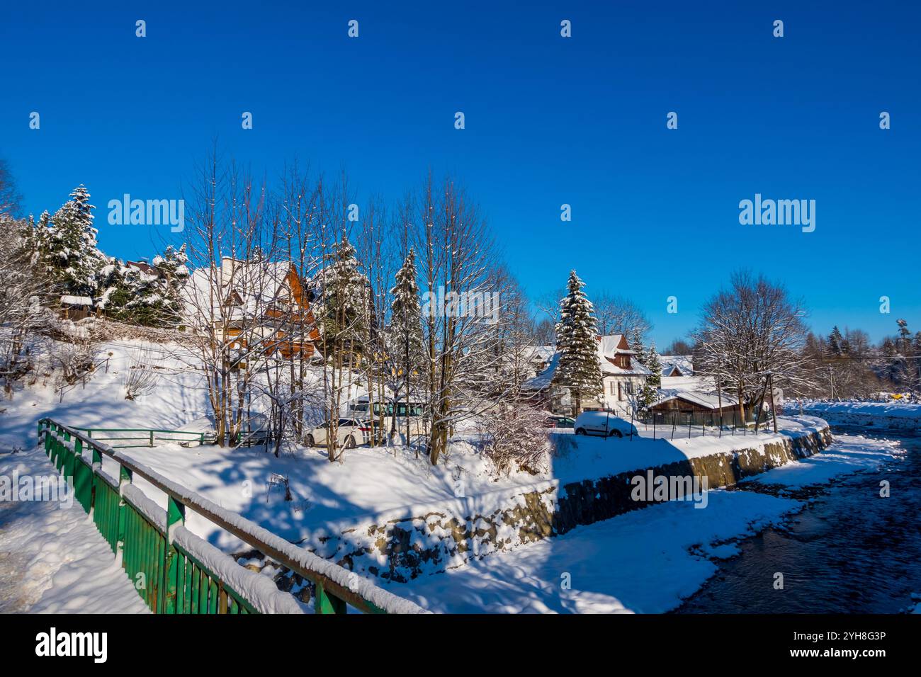 Vista invernale innevata delle strade e degli alberi di pino a Zakopane, Polonia Foto Stock