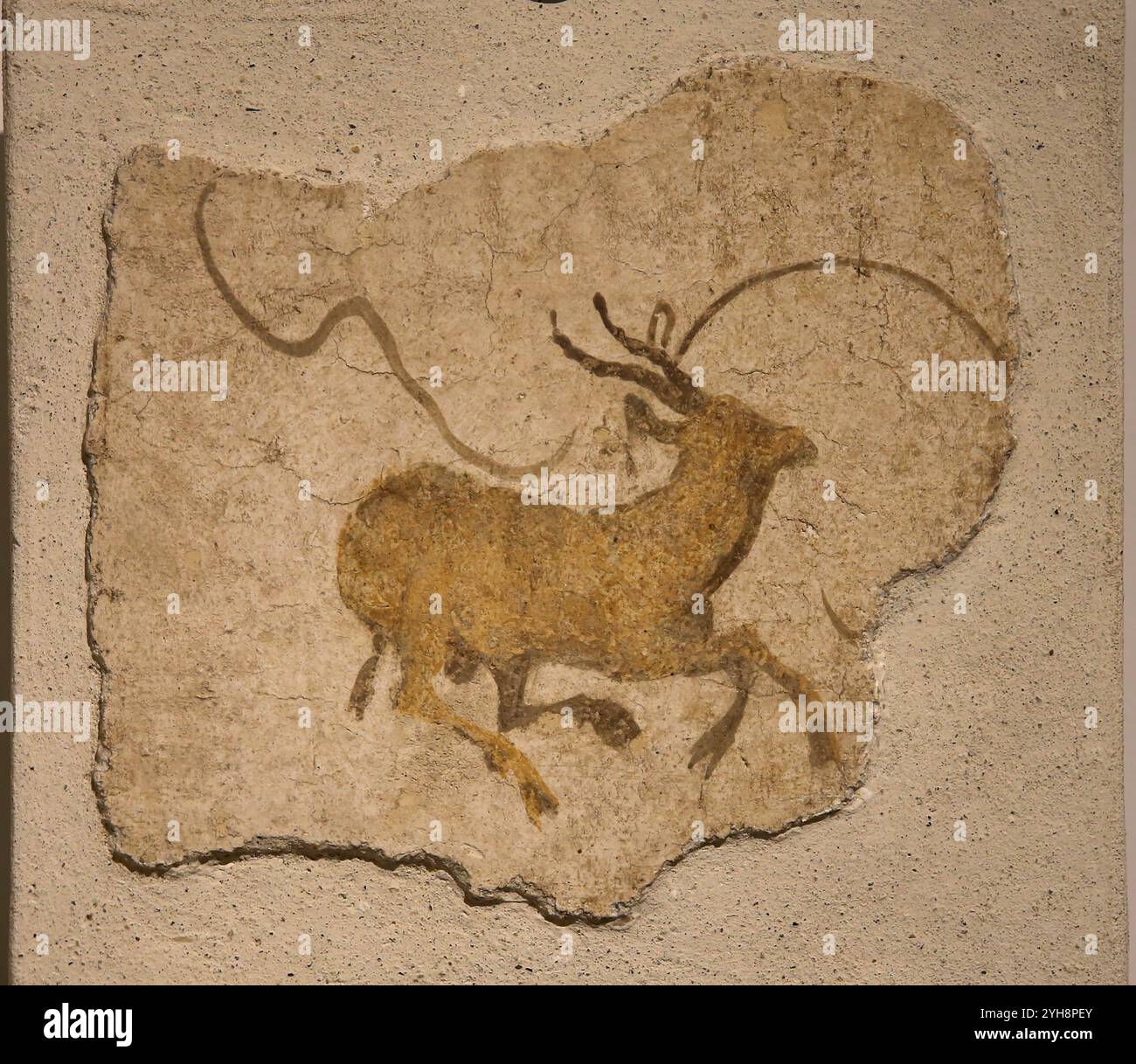 Frammento con raffigurazioni di stambecco. Età imperiale. Pittura romana. Museo Nazionale Romano (Terme di Diocleziano). Roma. Italia. Foto Stock