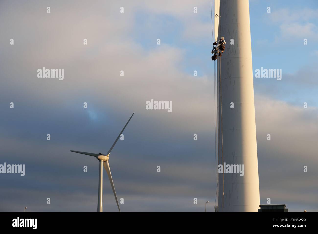 9 novembre 2024. Forss, Caithness, Scozia. Il tecnico Michael Parry ripara una lama di un mulino a vento presso la Forss Wind Farm vicino a Thurso, Scozia. Foto Stock