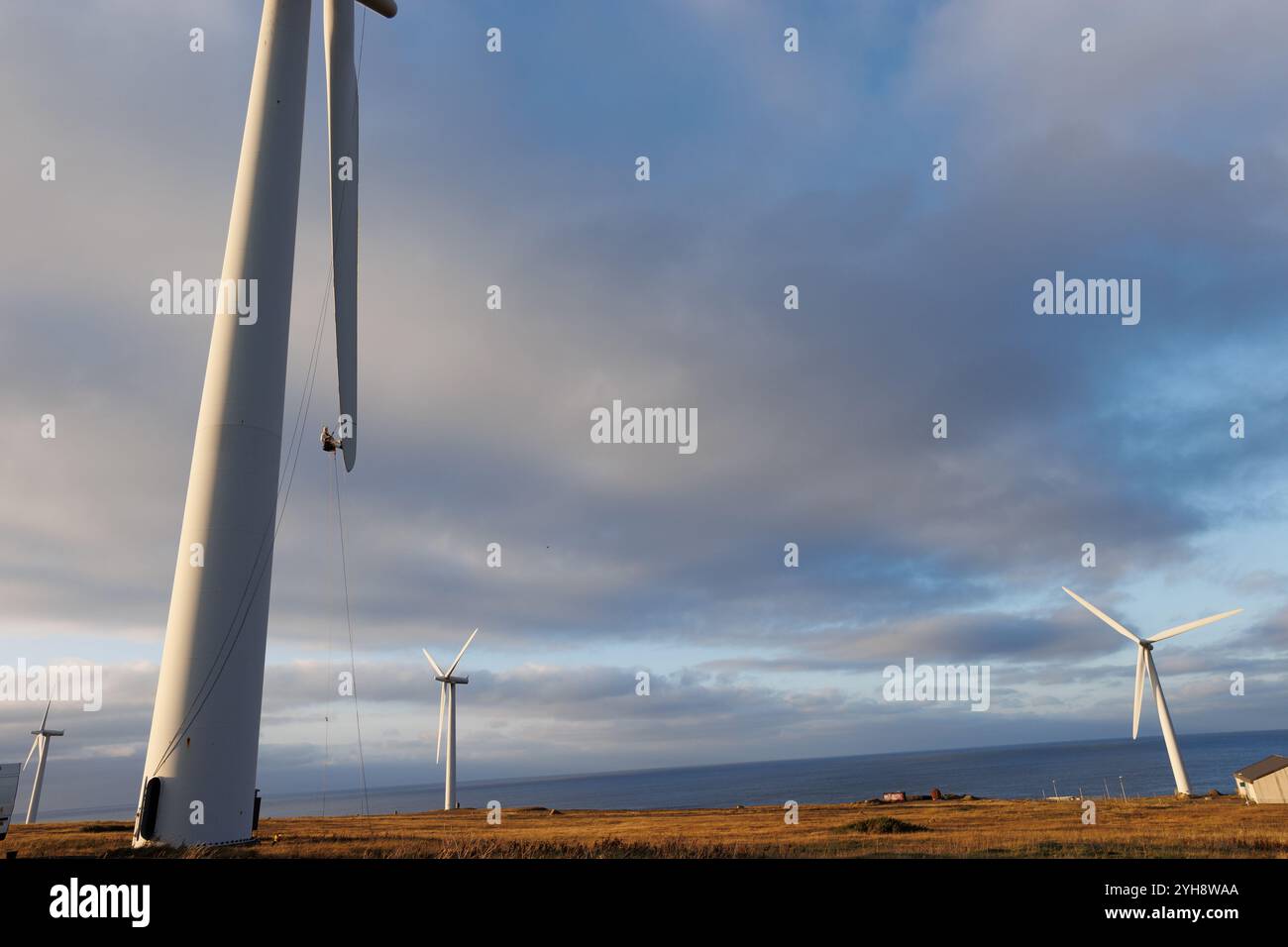 9 novembre 2024. Forss, Caithness, Scozia. Il tecnico Michael Parry ripara una lama di un mulino a vento presso la Forss Wind Farm vicino a Thurso, Scozia. Foto Stock