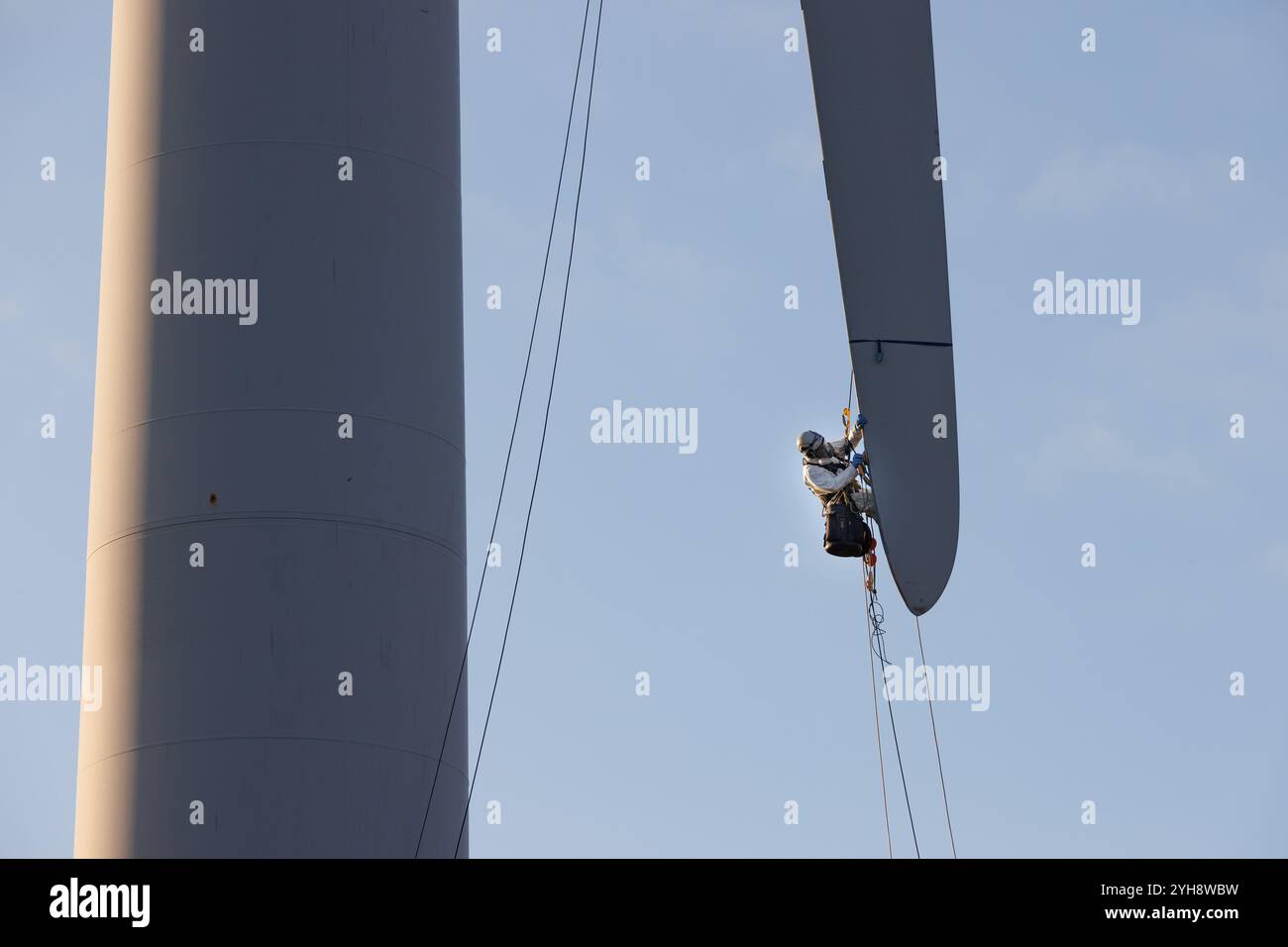 9 novembre 2024. Forss, Caithness, Scozia. Il tecnico Michael Parry ripara una lama di un mulino a vento presso la Forss Wind Farm vicino a Thurso, Scozia. Foto Stock