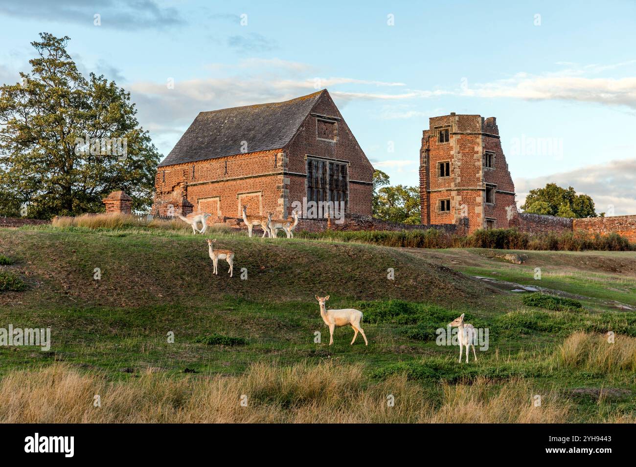 Leicestershire; Bradgate House Ruins; Bradgate Park; Regno Unito Foto Stock