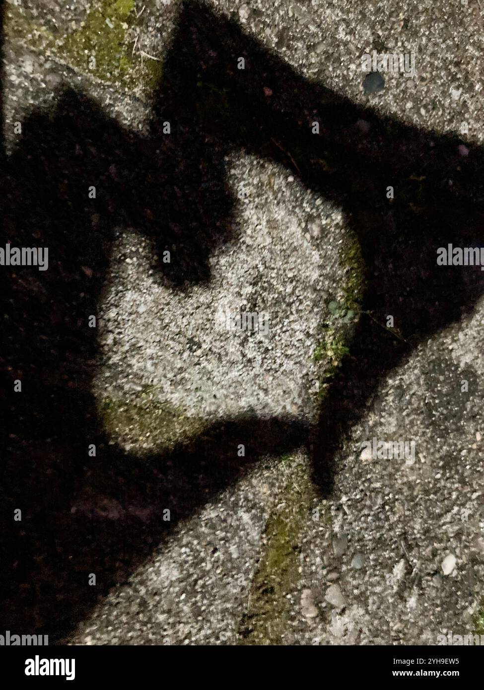Un'ombra di mani che forma un cuore su un lichene a forma di cuore sul marciapiede Foto Stock