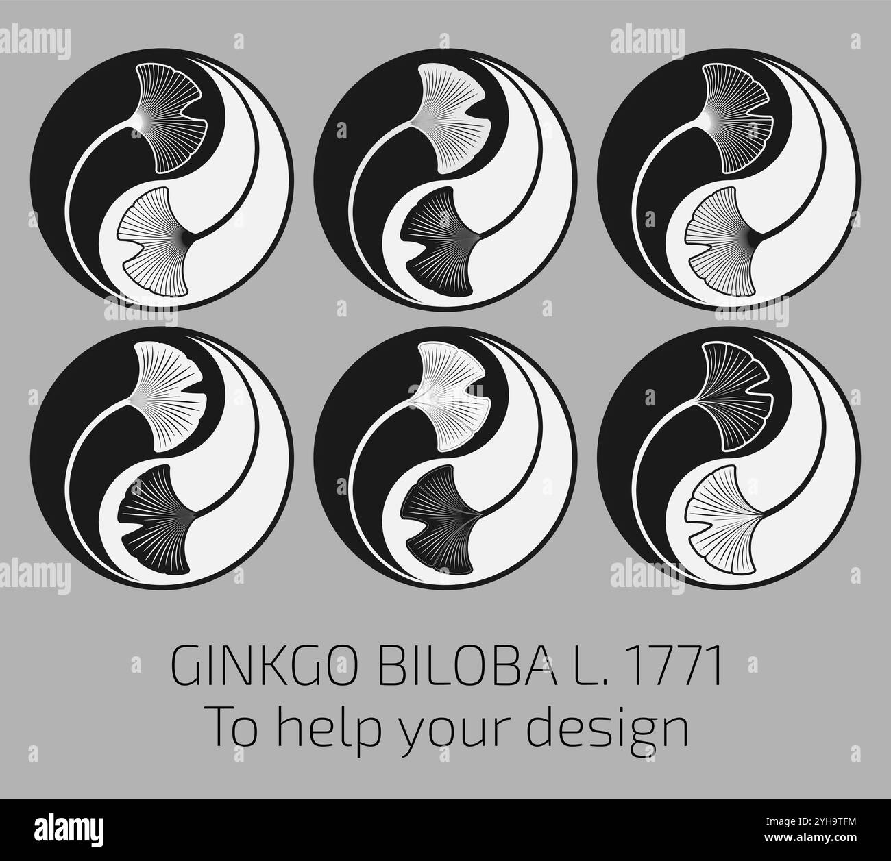 Set di illustrazioni vettoriali di foglie di ginkgo biloba che utilizzano il metodo della geometria sacra in stile Yin Yang. Aiuto per il progettista. Illustrazione Vettoriale