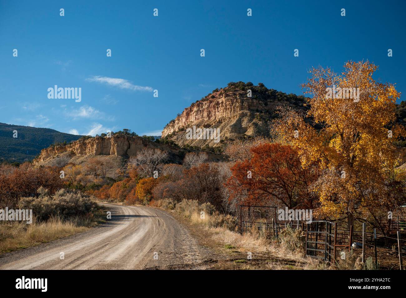 Affioramenti di Mancos Shale su una strada di campagna nella contea di Delta, Colorado Foto Stock