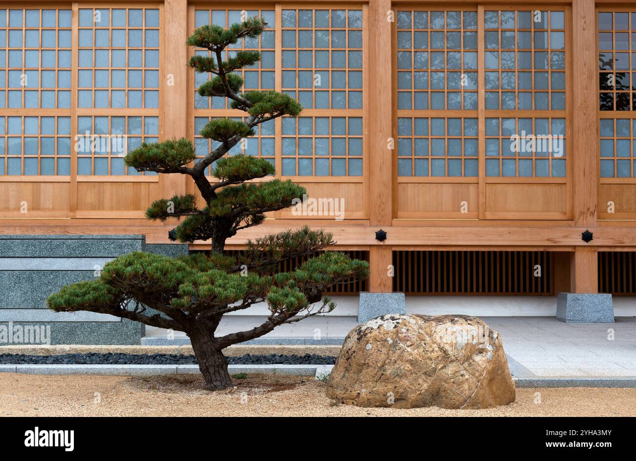 Un singolo matsu (pino) dalla perfetta forma a zig-zag si trova accanto a un audace cortile di un tempio a Ehime, in Giappone. Foto Stock