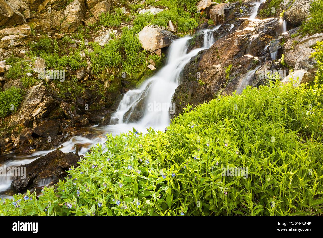 L'acqua scorre su una piccola scogliera dal lago Ramshead sulla strada per diventare Ribbon Cascade nell'Hanging Canyon nel Grand Teton National Park, Wyoming. Foto Stock