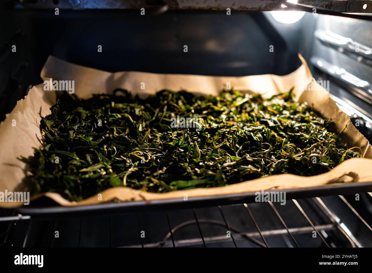 Foglie di erba di salice per la pianta di tè chiamata Ivan Chai in Russia in vassoio forno essiccazione Foto Stock