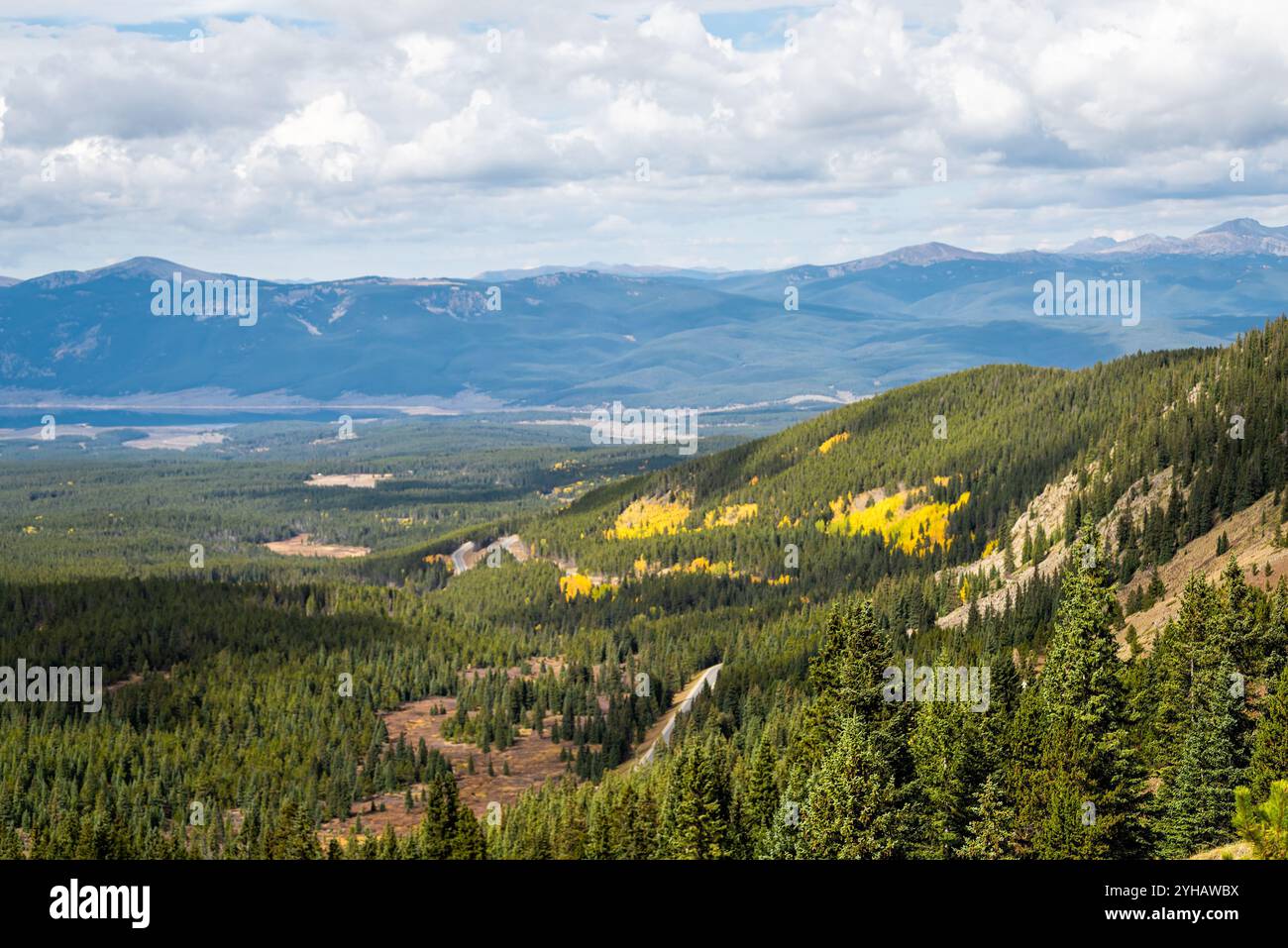 Il passo di Cottonwood, Colorado, si affaccia in autunno con la foresta sempreverde di abete lungo la strada provinciale 742 e il fogliame di aspen Fall Foto Stock Il passo di Cottonwood, Colorado, si affaccia in autunno con la foresta sempreverde di abete lungo la strada provinciale 742 e il fogliame di aspen Fall Foto Stock