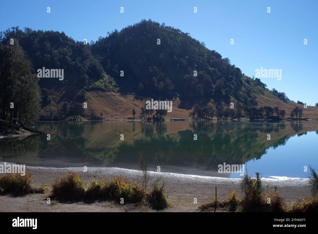 Lago Ranu Kumbolo, una fonte di acqua pulita per gli scalatori del Monte Semeru, situato nell'area del Parco Nazionale di Bromo Tengger Semeru. Foto Stock