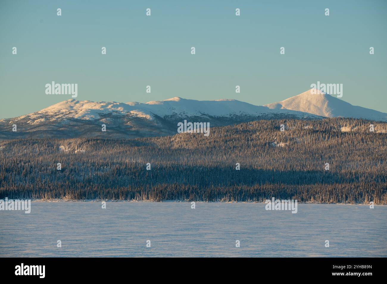 Vista sulle montagne selvagge nel territorio dello Yukon durante l'inverno con montagne innevate nel giorno del cielo blu. Preso a Marsh Lake nel nord del Canada. Foto Stock