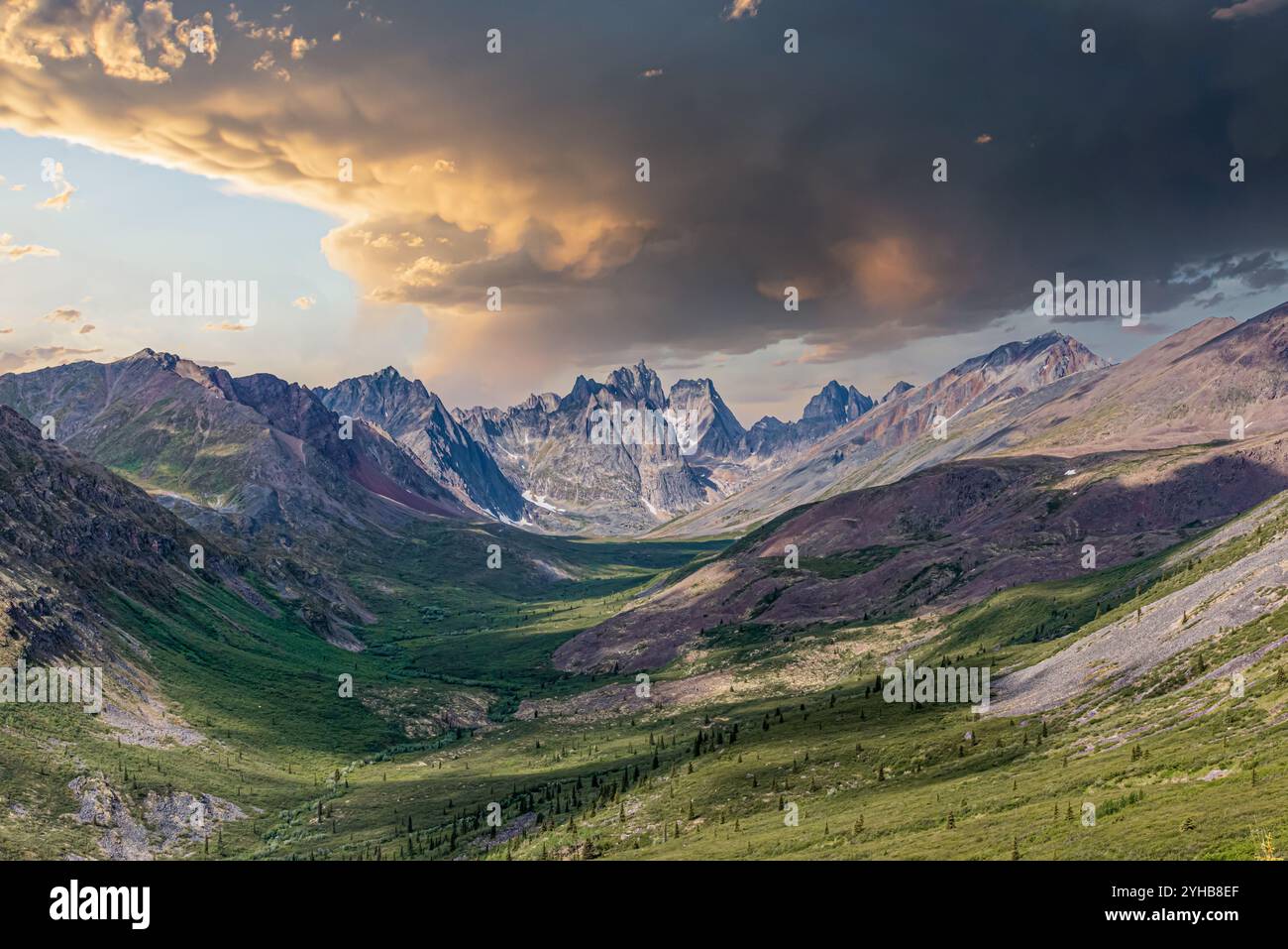 Due persone, escursionisti, viaggiatori in piedi, abbracciare, abbracciare il Tombstone Territorial Park, territorio dello Yukon, Canada ammirando la vista Foto Stock