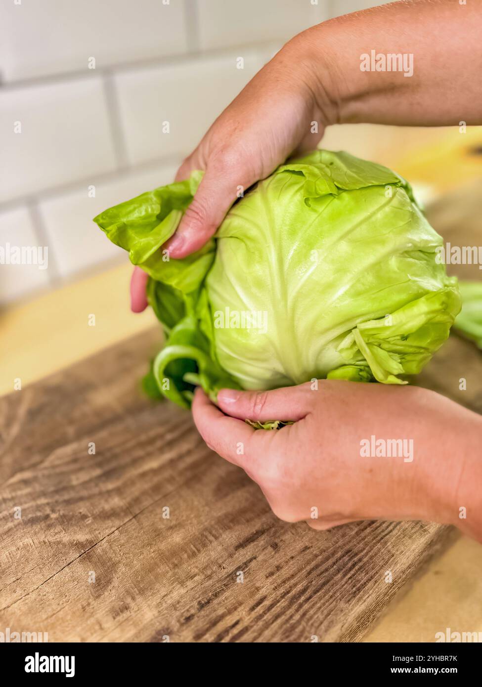 mani femminili che tengono e tagliano il cavolo del vestito in cucina . Foto di alta qualità Foto Stock