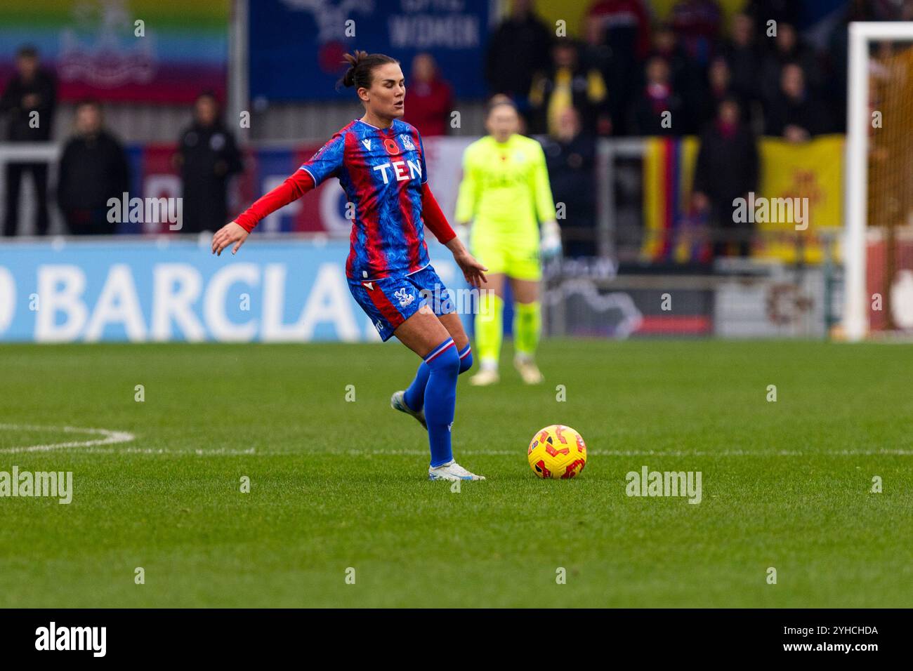 Aimee Everett di Crystal Palace durante la partita di Barclays Women's Super League tra Crystal Palace e Everton al VBS Community Stadium di novembre Foto Stock