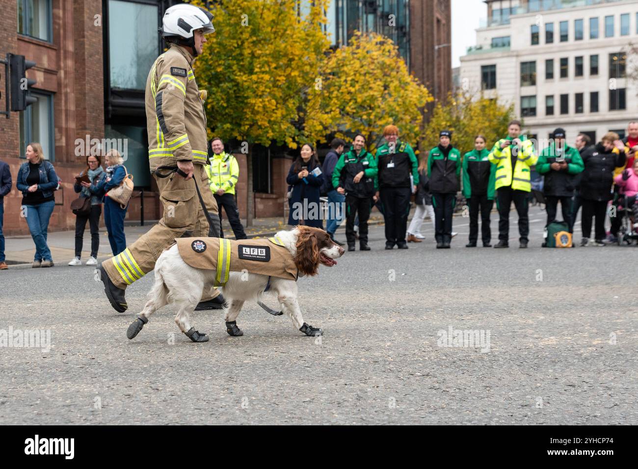 Pompiere dei vigili del fuoco di Londra e cane da ricerca Simba alla sfilata del Lord Mayor's Show 2024 nella City di Londra, Regno Unito. Evento storico e tradizionale. Foto Stock