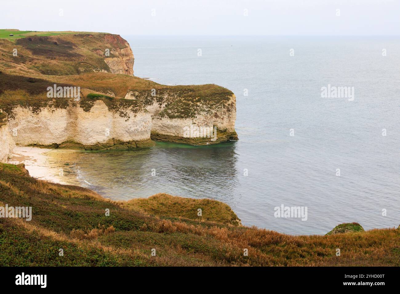 Scogliere bianche di gesso a Flamborough Head, riserva naturale di Outer Headland, ssi, Bridlington, East Yorkshire, Inghilterra Foto Stock