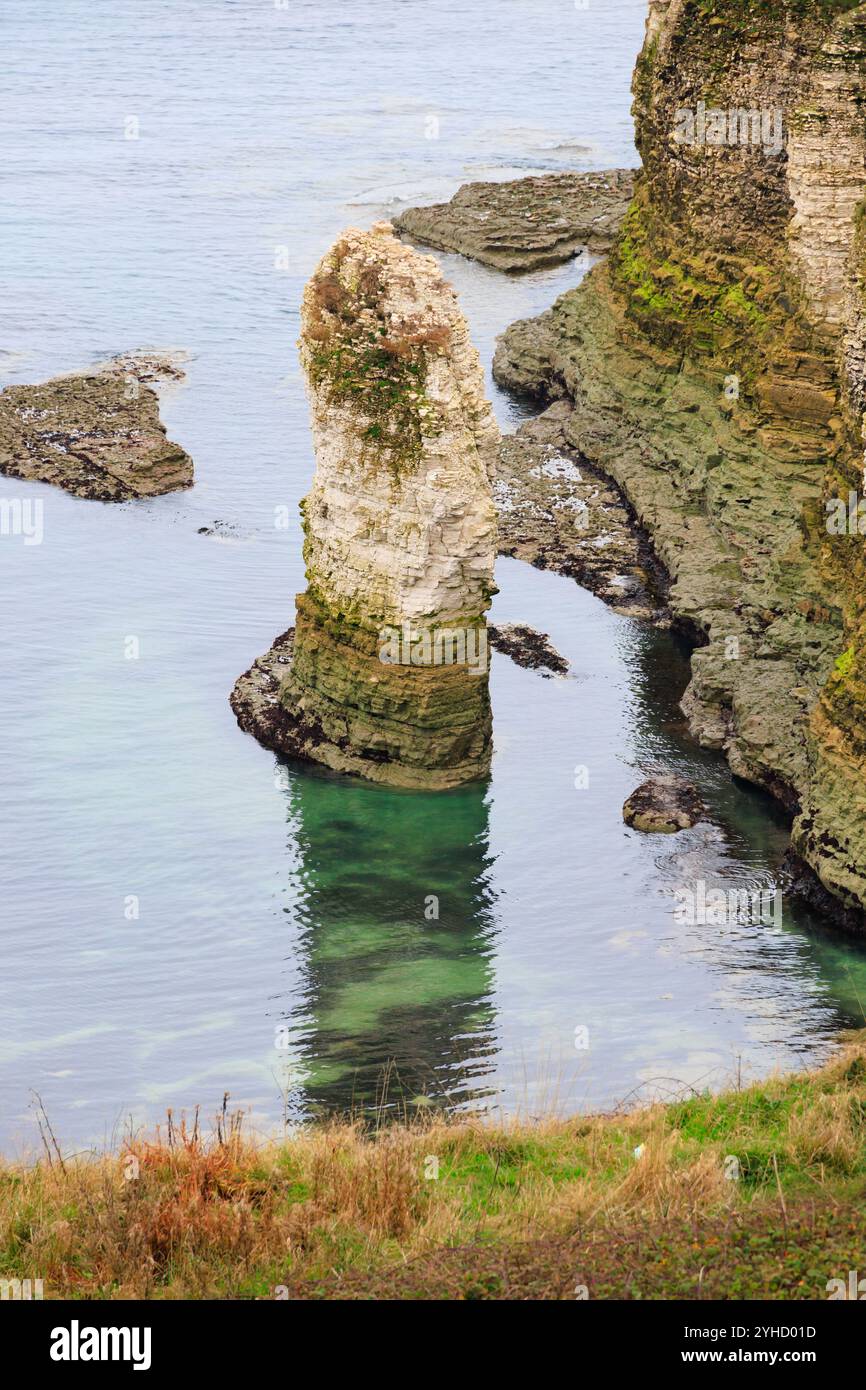 Gesso a Flamborough Head, riserva naturale di Outer Headland, ssi, Bridlington, East Yorkshire, Inghilterra Foto Stock