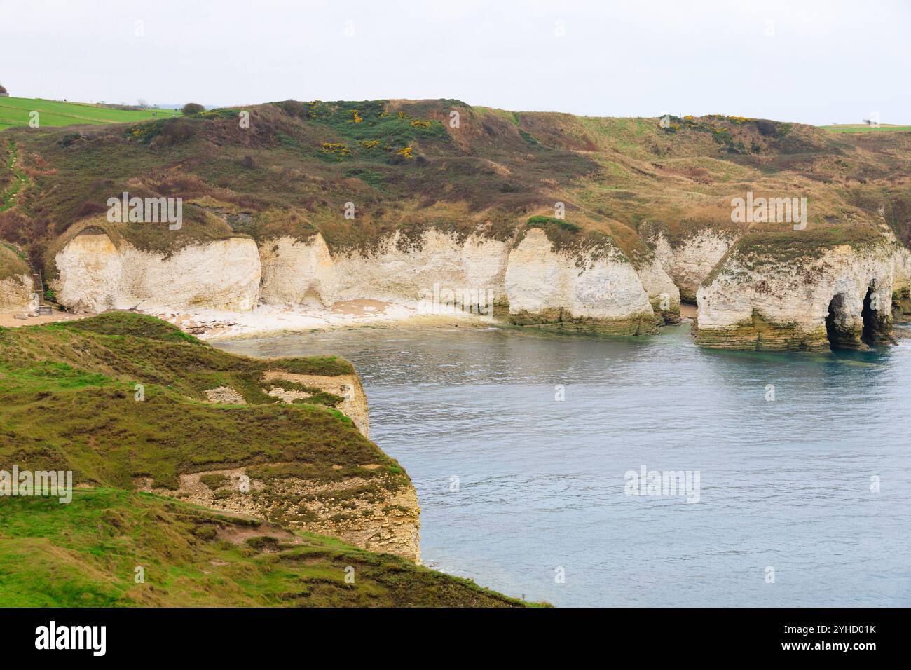 Scogliere bianche di gesso a Flamborough Head, riserva naturale di Outer Headland, ssi, Bridlington, East Yorkshire, Inghilterra Foto Stock