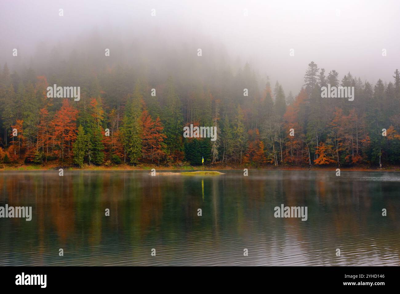 paesaggio con lago in autunno. il tempo di foggy. alberi con fogliame colorato. atmosfera spettrale. parco nazionale synevyr, ucraina Foto Stock