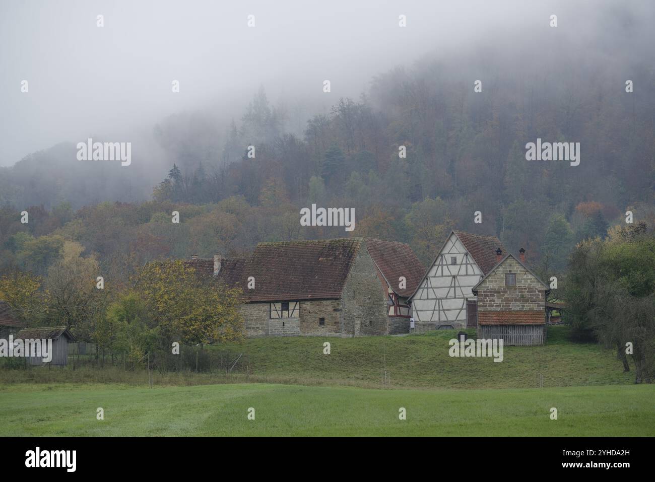 Atmosfera nebbiosa autunnale, museo all'aperto Hohenloher, fattoria, fattorie, parco naturale della foresta sveva-Franconica, Wackershofen, Schwaebisch Hall, ho Foto Stock