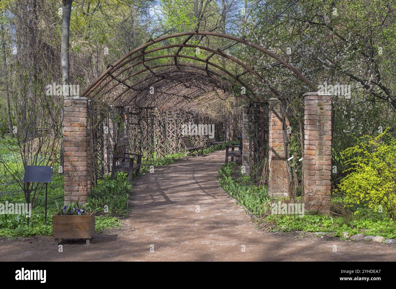 Berceau nel giardino botanico. Frammento di architettura paesaggistica Foto Stock