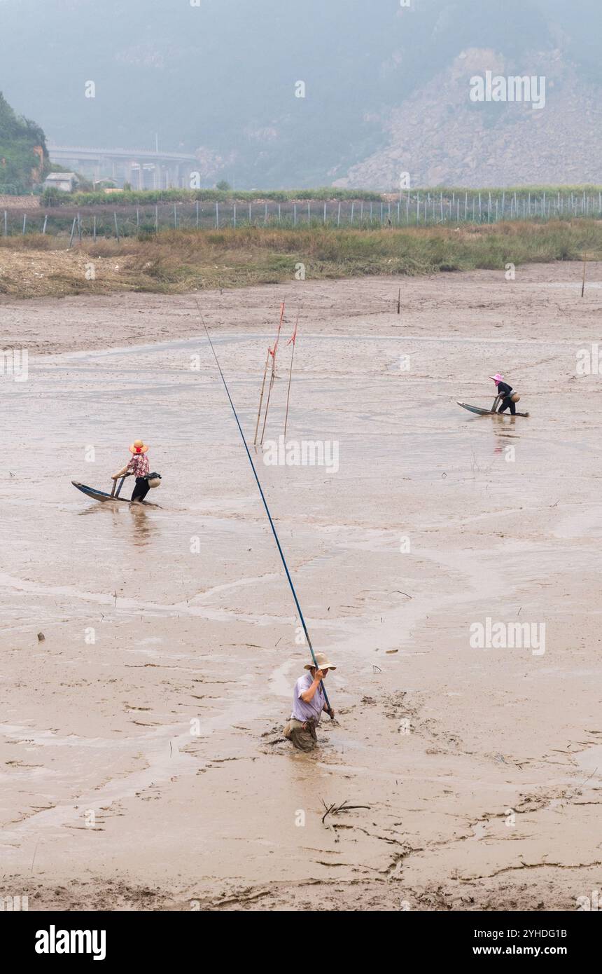 Pesca nel fango vicino a Wenzhou, provincia di Zhejiang, Cina Foto Stock