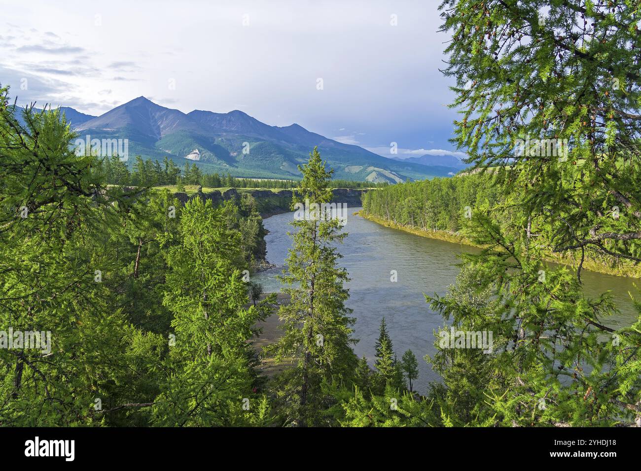 Alte e ripide rive del fiume Oka Sayan. Sayan orientale, Buryatia, Siberia, Russia, Europa Foto Stock