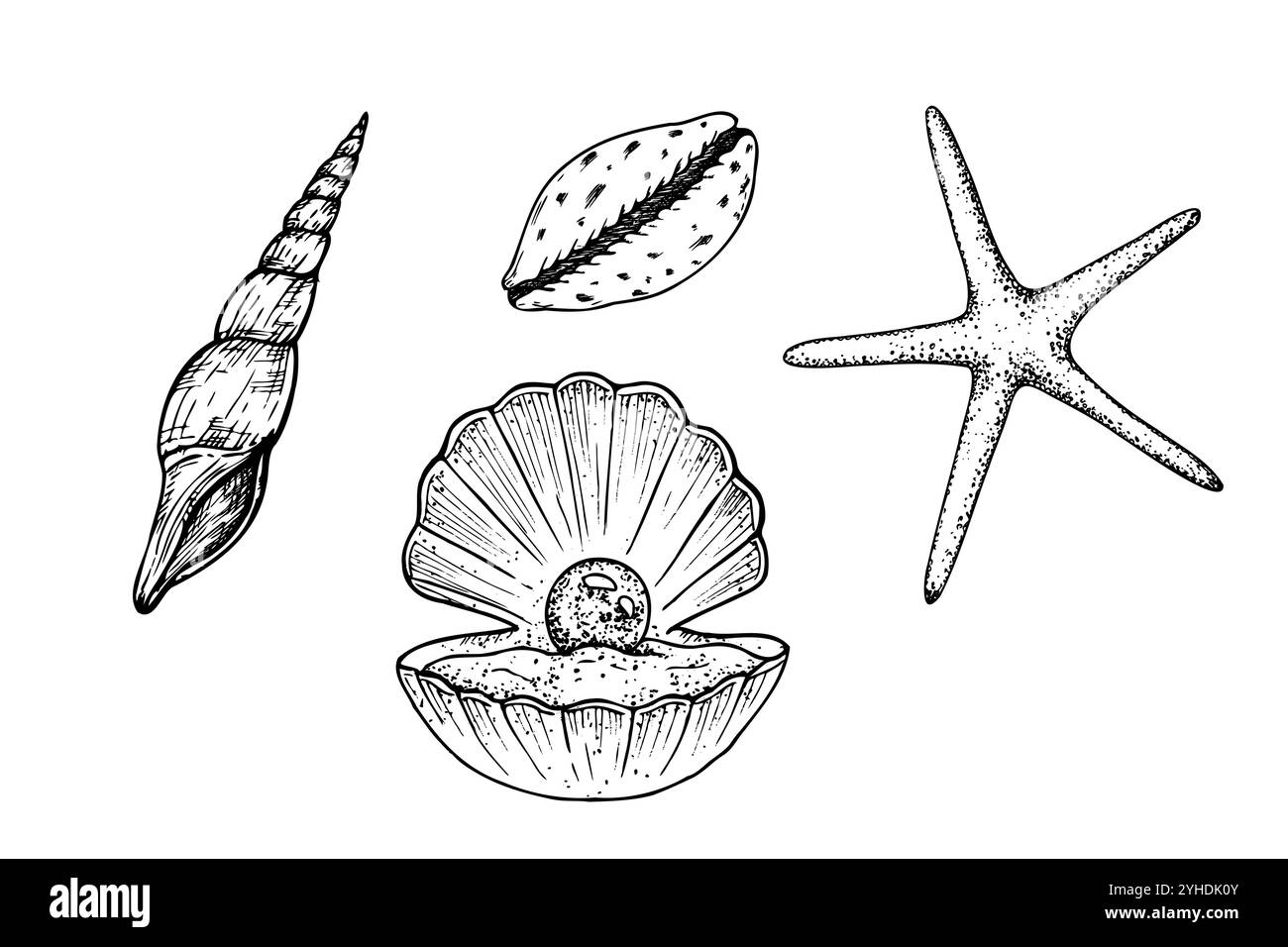 Bellissimo set vettoriale con conchiglie e stelle marine. La linea dipinta a mano aprì la conchiglia di ostriche con perla. Clip art grafica isolata sullo sfondo. Sott'acqua Illustrazione Vettoriale