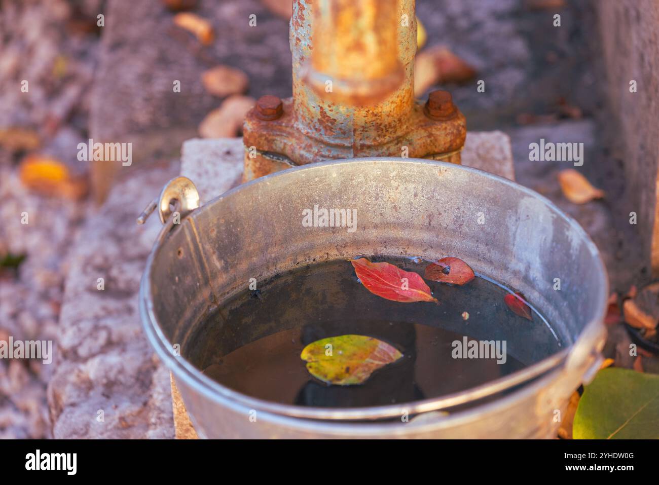 Pompa dell'acqua rustica con foglie autunnali in secchio metallico Foto Stock