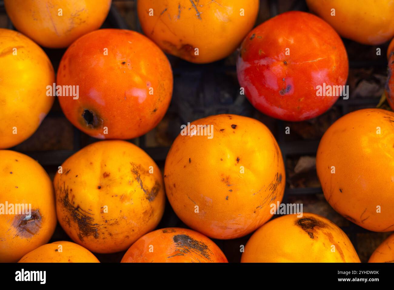 Primo piano di Persimmons freschi esposti in un mercato Foto Stock