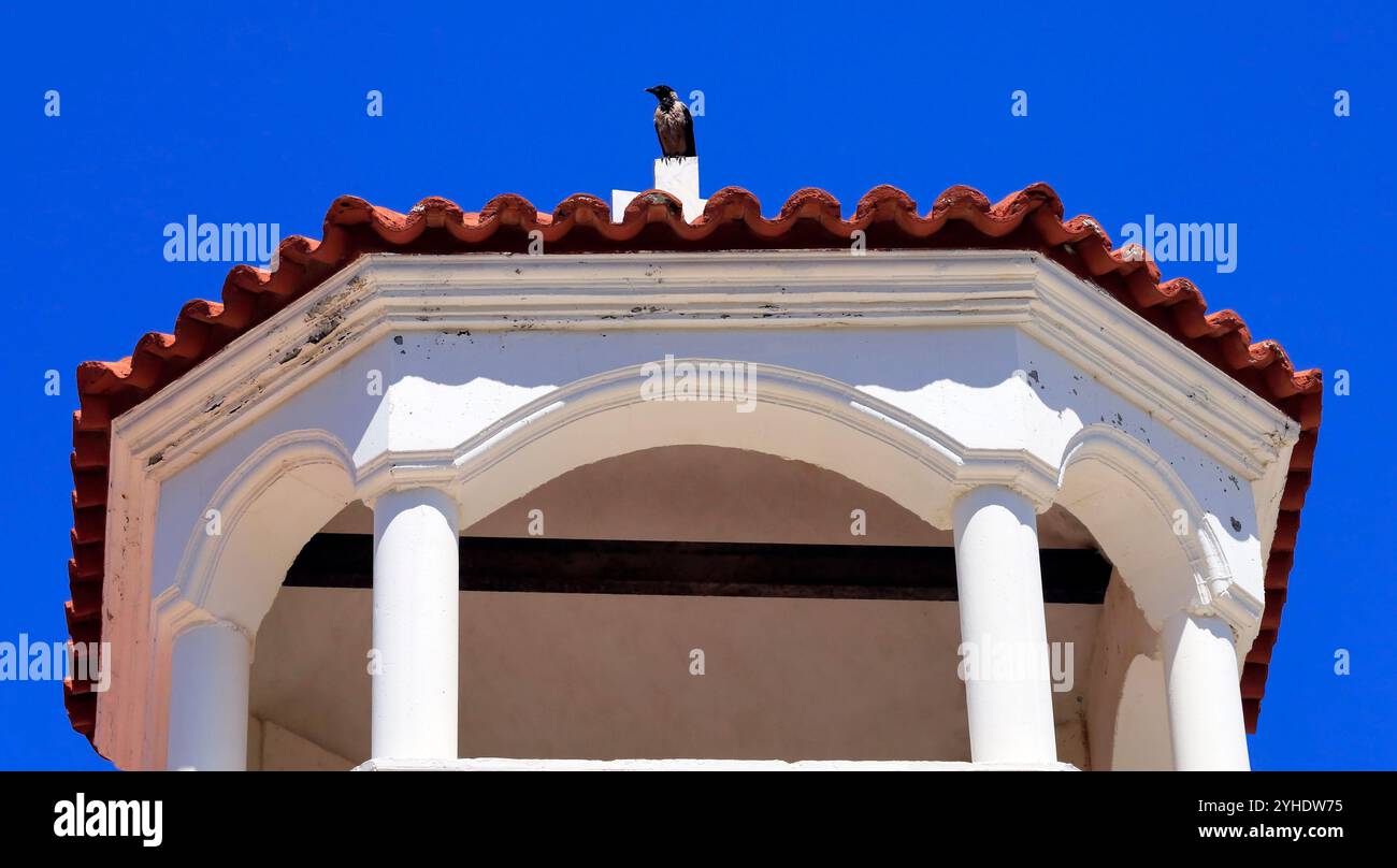 Corvo con cappuccio seduto sul tetto di una chiesa, isola Tilos, isole greche del Dodecaneso, Grecia, Europa Foto Stock