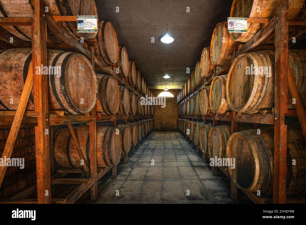 Processo di affinamento dell'alcool di cacachi in botti di legno presso la distilleria Alambique Flor do vale Canela, Rio grande do sul, Brasile Foto Stock
