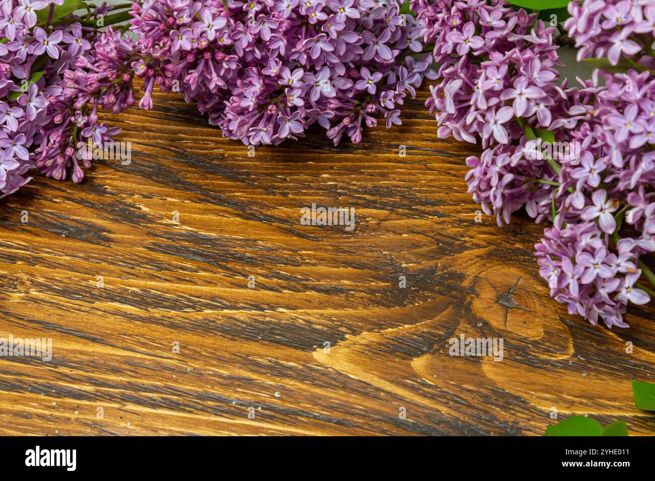 Bella primavera fiori lilla su una tavola di legno vintage con posto per il testo. Syringa vulgaris. Buona carta di auguri per la Festa della mamma. Vista dall'alto. Copia spac Foto Stock