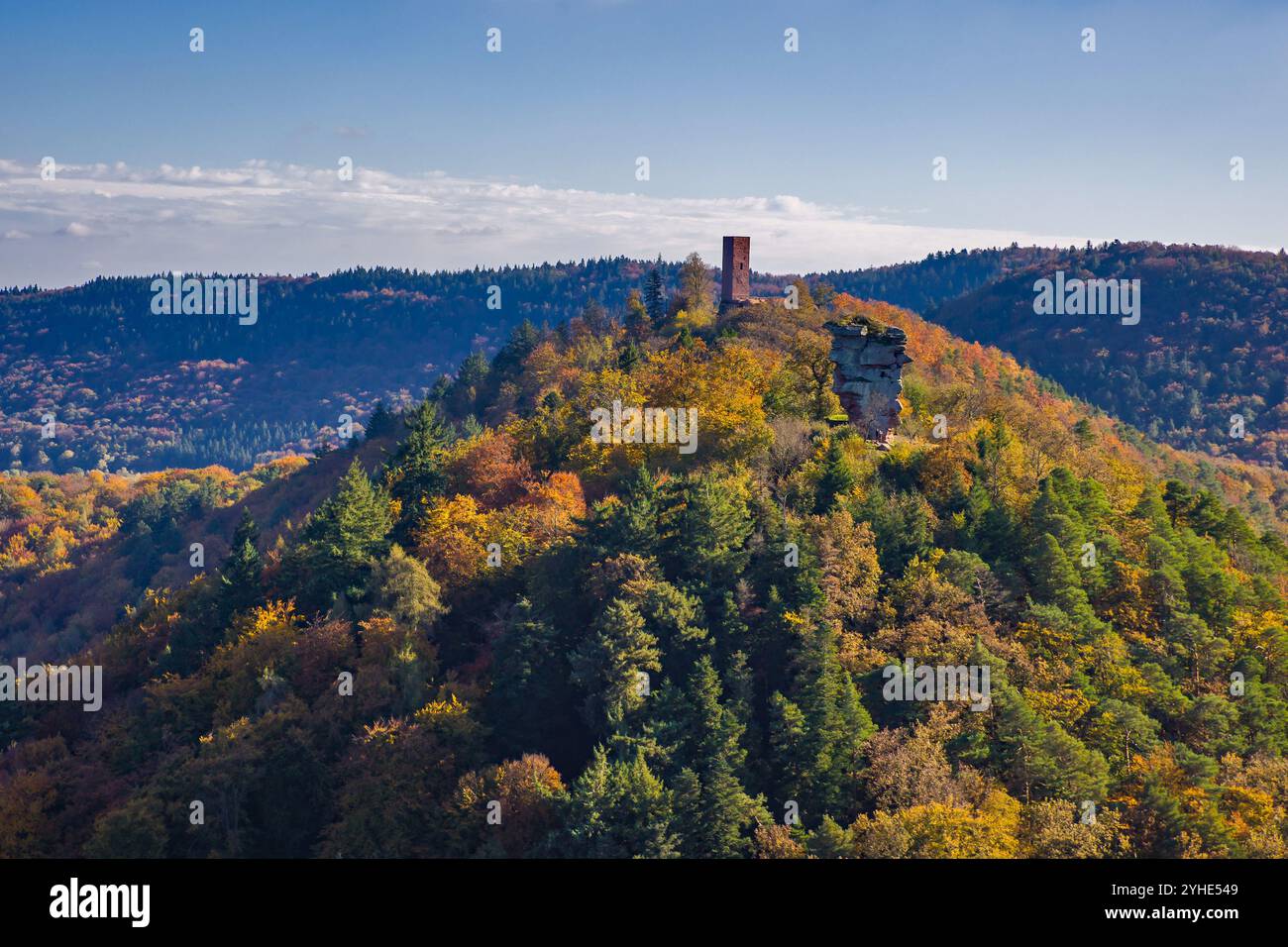 ammira la colorata foresta mista autunnale e le colline del palatinato meridionale alla luce del sole pomeridiano Foto Stock