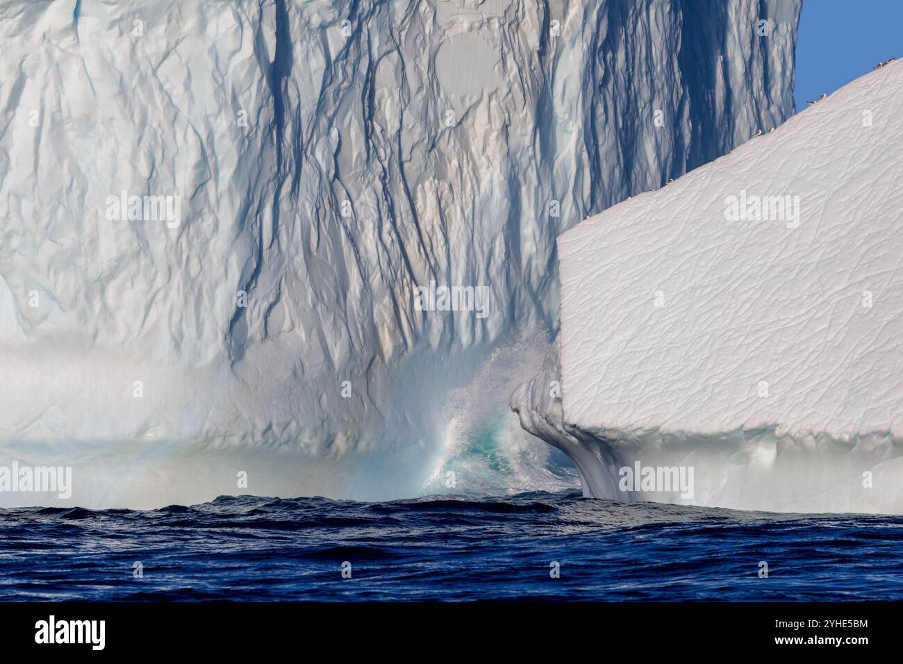 L'onda si schianta contro un enorme iceberg nella Terra di Liverpool, in Groenlandia. I kittiwakes sono appollaiati sul lato. Un iceberg di acqua dolce che si è staccato da un ghiacciaio Foto Stock