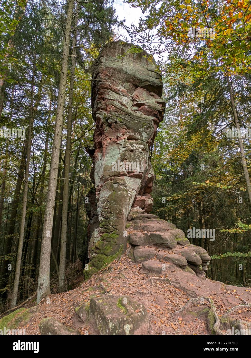 Una piccola e alta pietra arenaria sul sentiero roccioso nel felsenland di Dahner, nella foresta del Palatinato Foto Stock