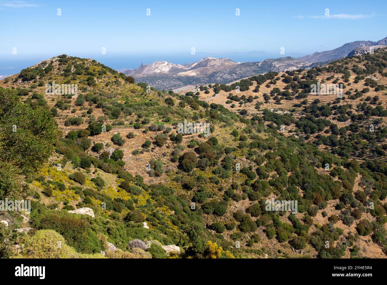 Monte ZAS, Naxos, Grecia Foto Stock