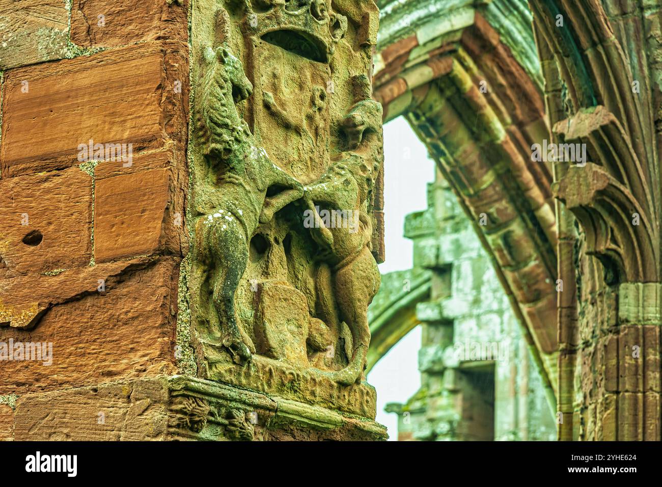 Dettaglio di uno stemma scolpito nella roccia nelle rovine medievali del monastero cistercense di Melrose. Scozia, Regno Unito, Europa Foto Stock