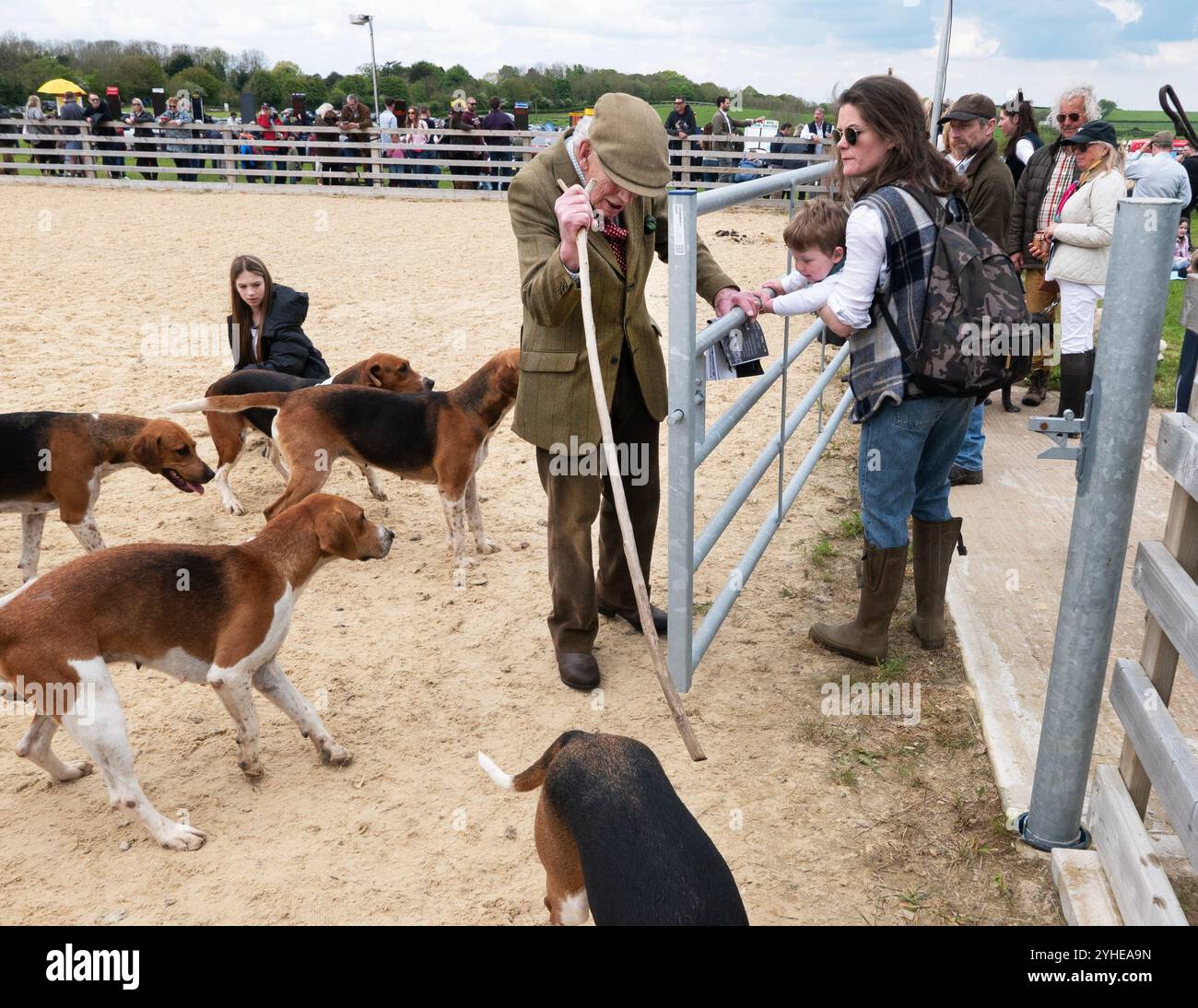 L'ippodromo Mollington Point to Point, dove sono in mostra i cani del Warwickshire e le corse si svolgono su un'incantevole campagna Foto Stock