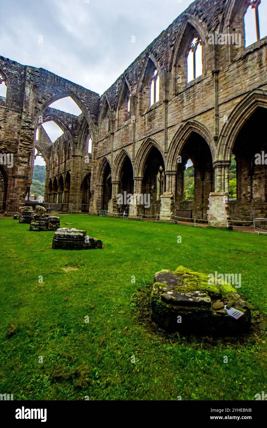 All'interno delle rovine della chiesa un tempo maestosa dell'abbazia di Tintern in Galles Foto Stock