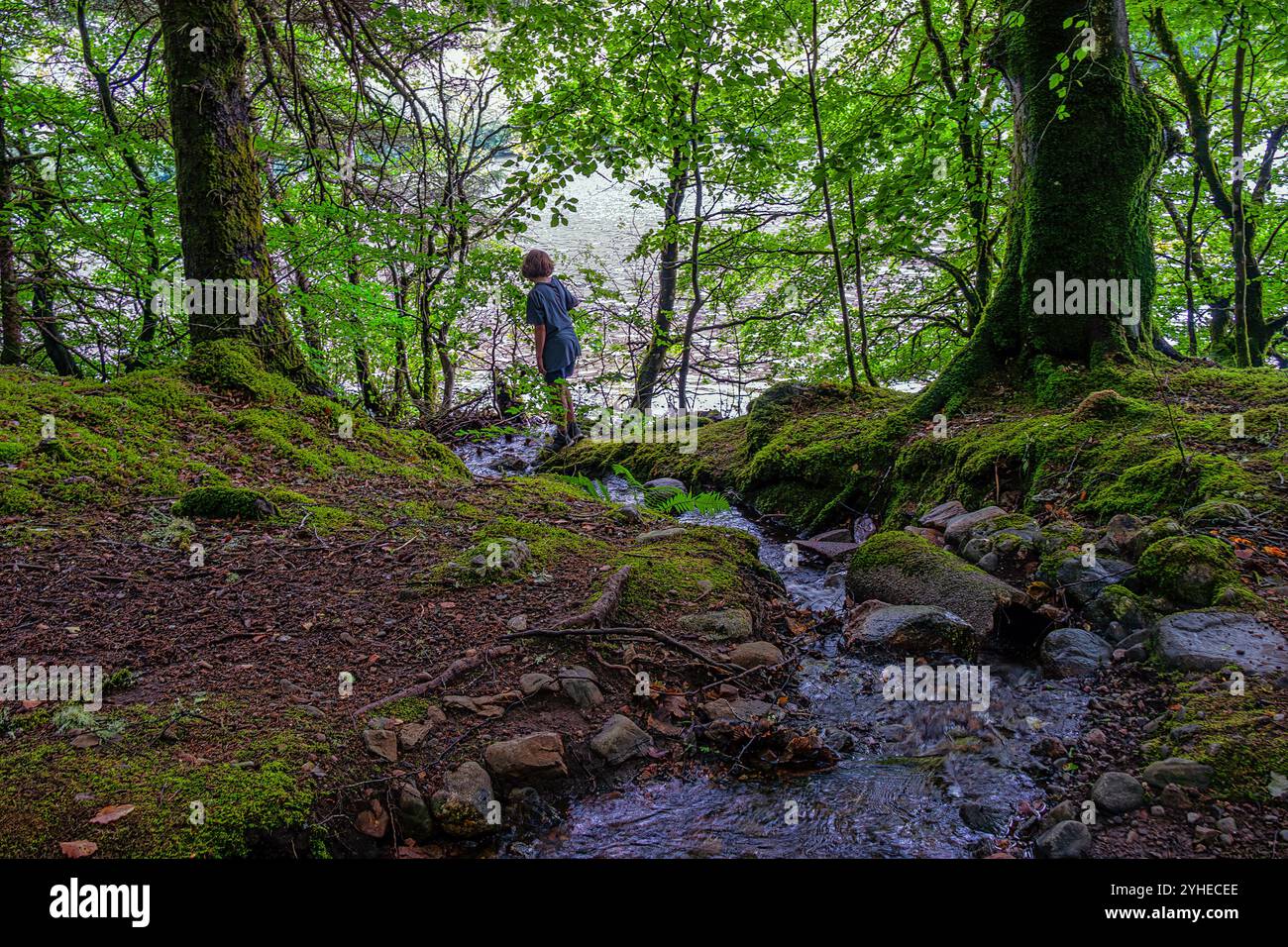 Un ragazzo fa un'escursione sui sentieri boscosi che circondano Loch Oich nelle Highlands scozzesi. Scozia, Regno Unito, Europa Foto Stock