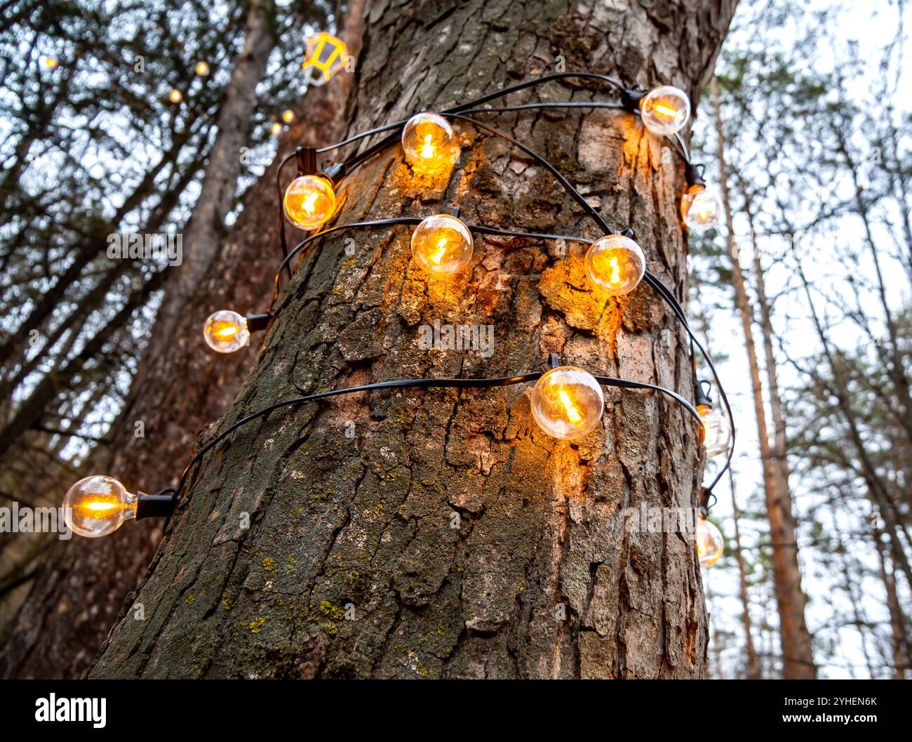 Illuminazione decorativa da lampade su un tronco d'albero Foto Stock