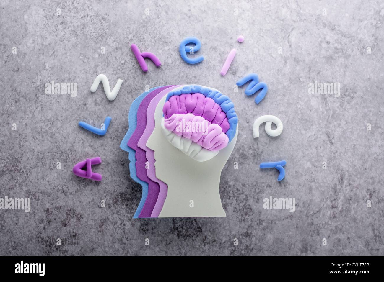 La silhouette testa umana con diverse sfumature viola cervello con parole di Alzheimer su sfondo grigio. Foto di alta qualità Foto Stock
