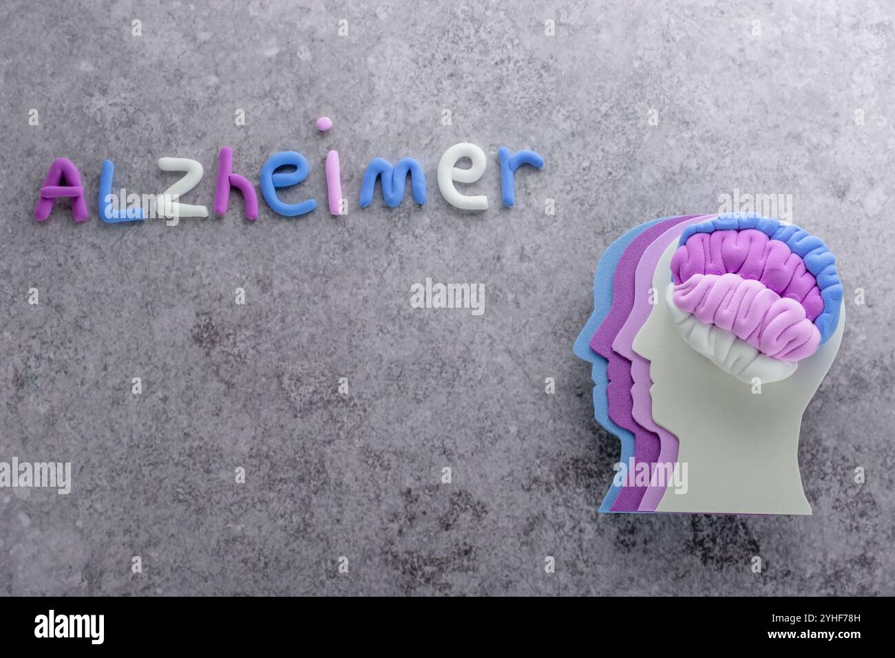La silhouette testa umana con diverse sfumature viola cervello con parole di Alzheimer su sfondo grigio. Foto di alta qualità Foto Stock
