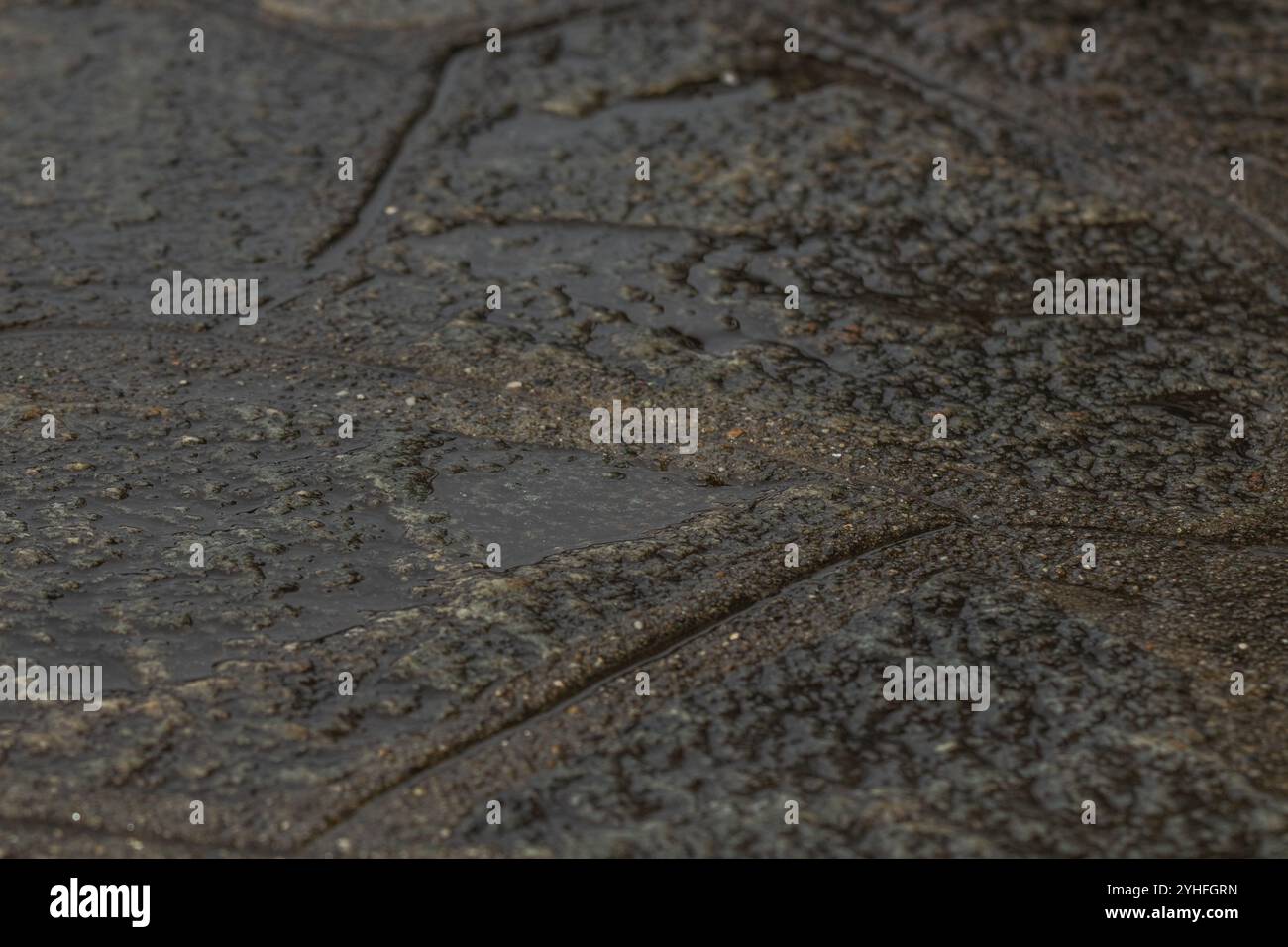 Foto macro che cattura la texture e i motivi dettagliati di una superficie bagnata, evidenziando gli effetti scintillanti dell'acqua su pietre ruvide e irregolari Foto Stock