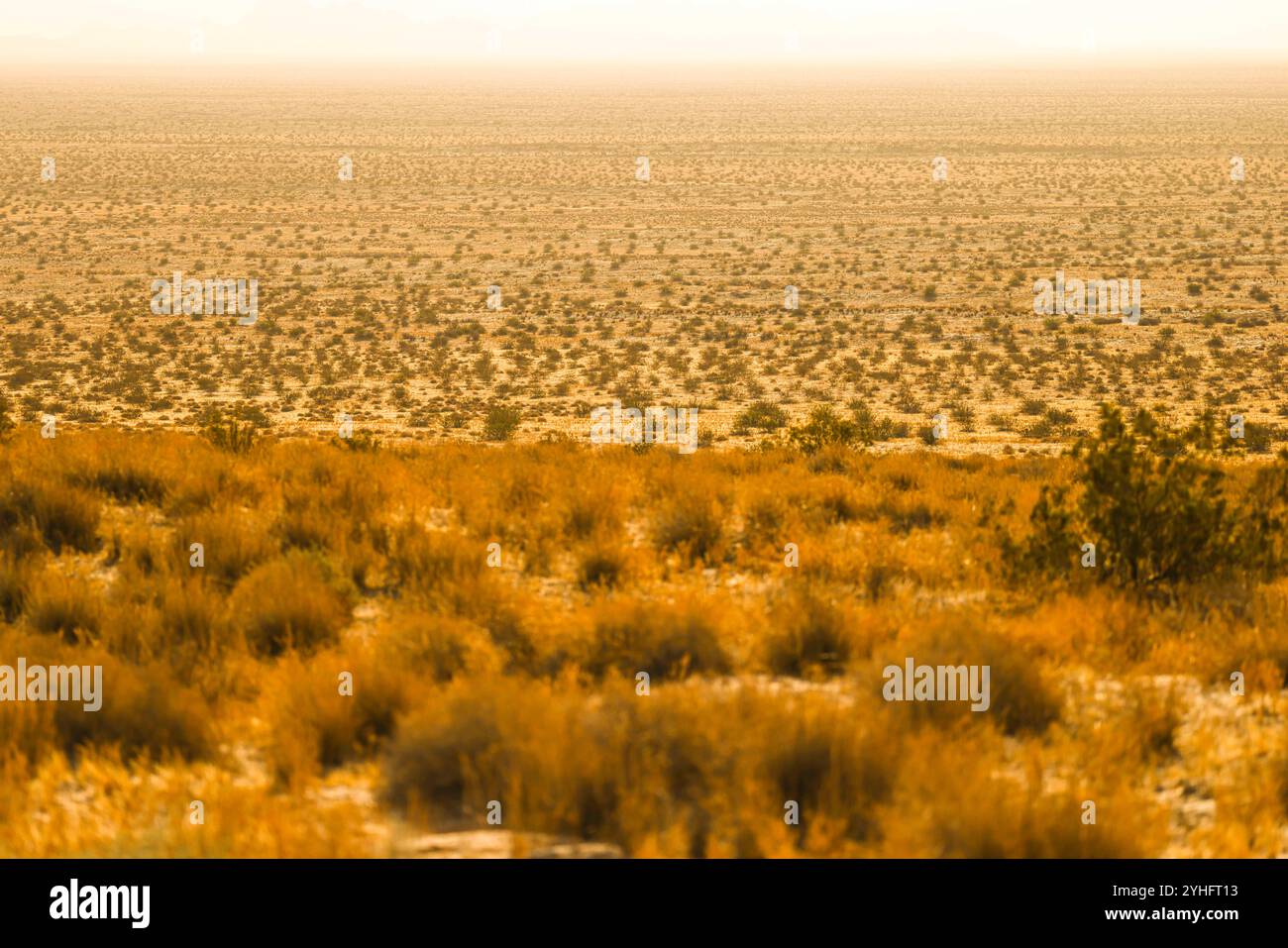 Deserto di Sonora, riserva della biosfera di El Pinacate e grande deserto altare nei dintorni di Puerto Peñasco, Sonora, Messico. (Foto di Luis Gutierrez/Norte Photo/) Desierto de Sonora , Reserva de la Biósfera El Pinacate y Gran Desierto de Altar en los alrededores de Puerto Peñasco, Sonora, Messico. (Foto di Luis Gutierrez/Norte Photo/) Foto Stock