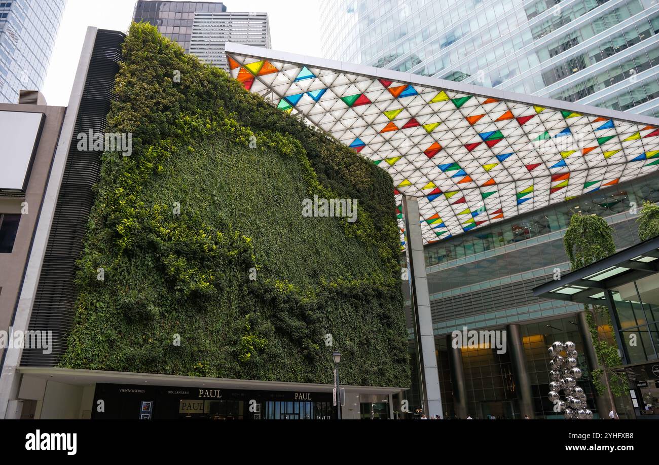 Un muro vivente nel cuore della citta' di Singapore, Singapore sta diventando conosciuta come la Citta' Verde grazie al suo piano della citta' naturale. Foto Stock