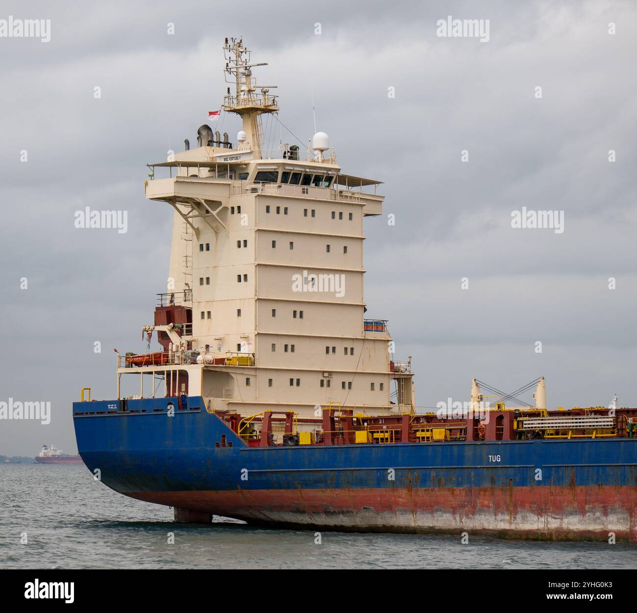 MSC Fortune F ancorata a Singapore nel Singapore Straight. Foto Stock