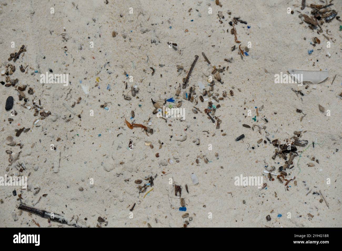 Microplastica lavata sulla spiaggia di St Johns Island Singapore. Gli ecosistemi acquatici sono influenzati dalla plastica monouso che entra negli oceani del mondo Foto Stock